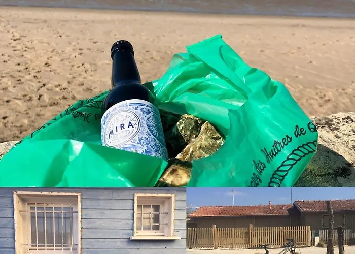 Maison L'heure Bleue 3* Lanton